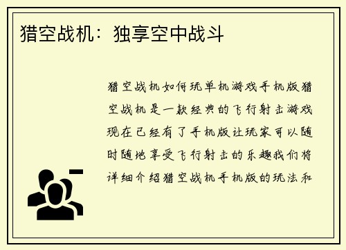 猎空战机：独享空中战斗